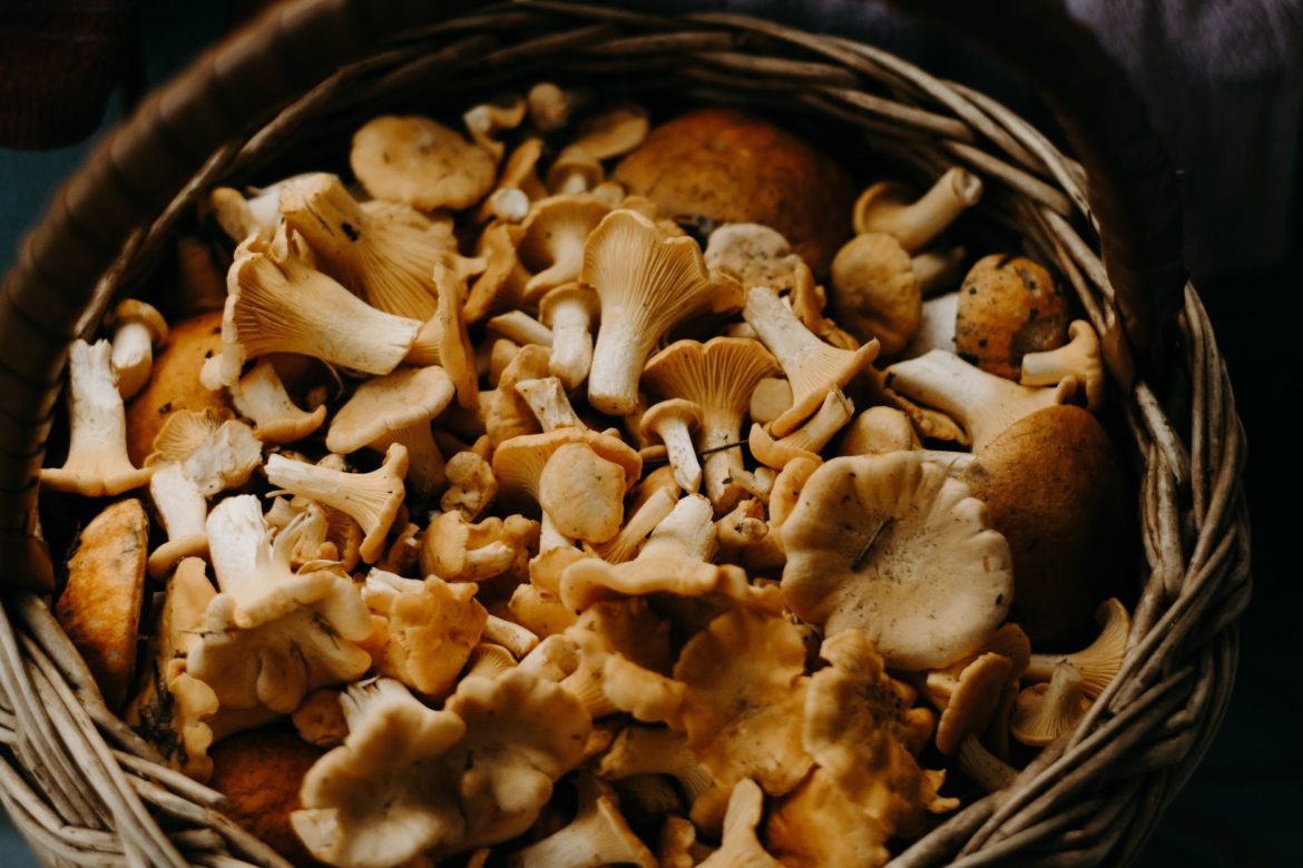 STUDY: Eating mushrooms linked to lower risk of depression